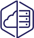 Network Security Icon